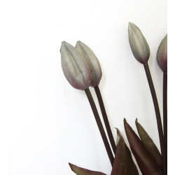 Tulipany bukiet 7szt. Szary 40cm